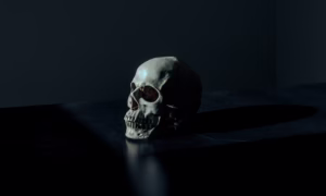 photo 1476370648495 3533f64427a2 Programming Languages That Will Be Dead by 2025| Dev Tech Insights